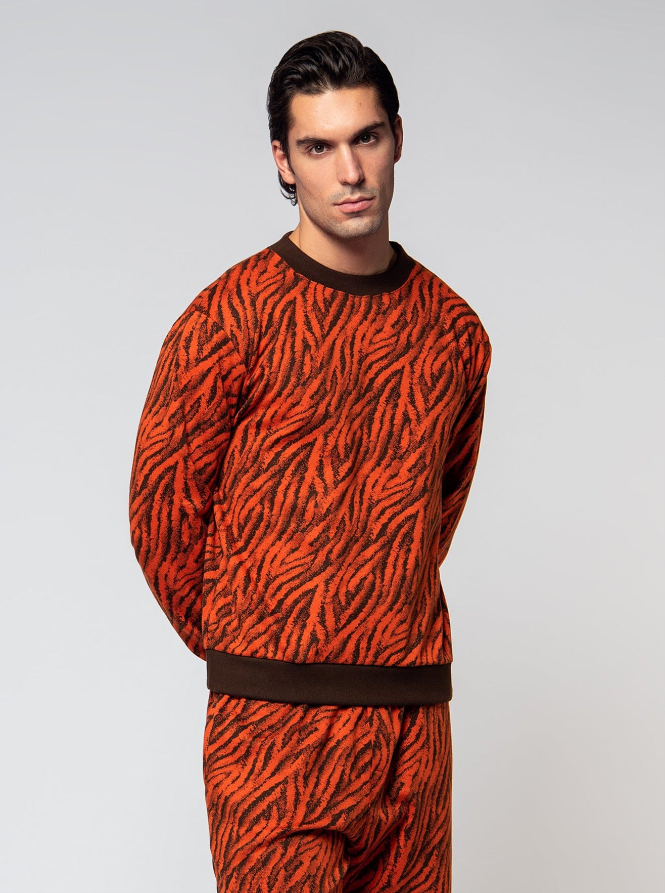 cotton pullover in zebra jacquard motif